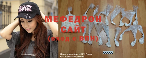 гашик Ельня