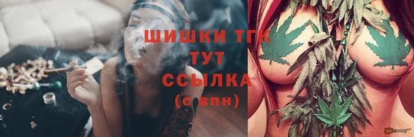 гашик Ельня