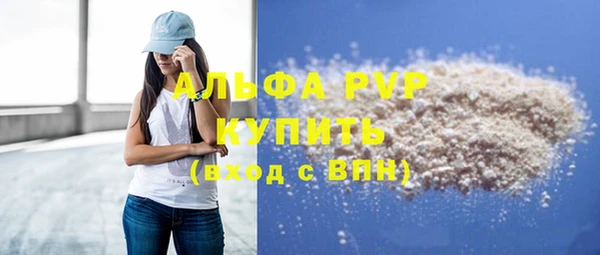 гашик Ельня