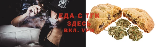 гашик Ельня