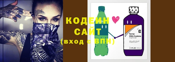 гашик Ельня