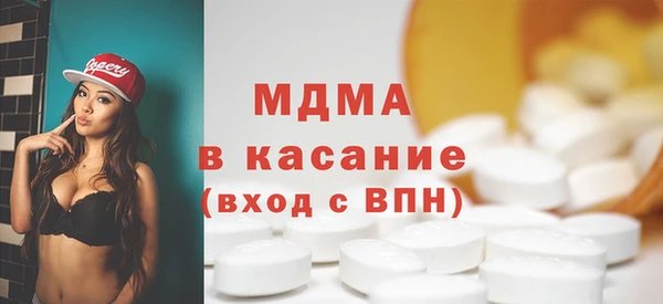 гашик Ельня