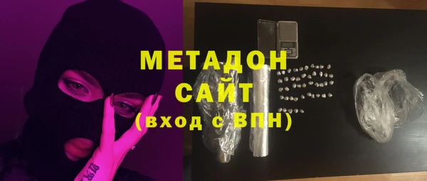 гашик Ельня