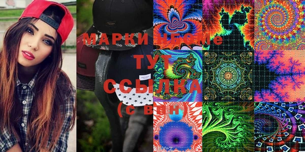 гашик Ельня
