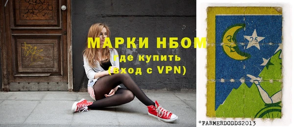 гашик Ельня
