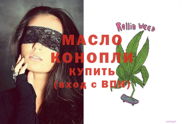гашик Ельня