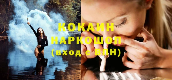 гашик Ельня
