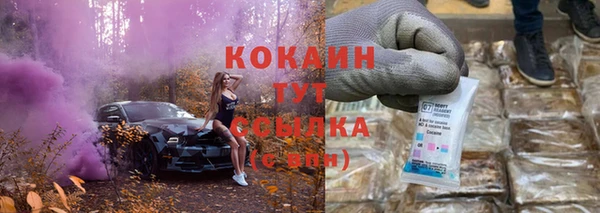 гашик Ельня