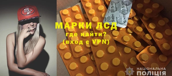 spice Елизово