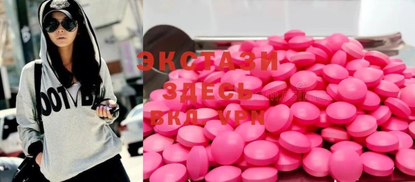 гашик Ельня