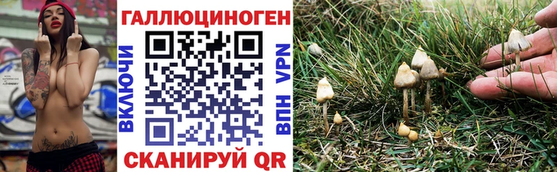 hydra ссылки Питкяранта Псилоцибиновые грибы мицелий